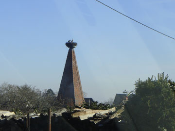 a0184173_75863.jpg