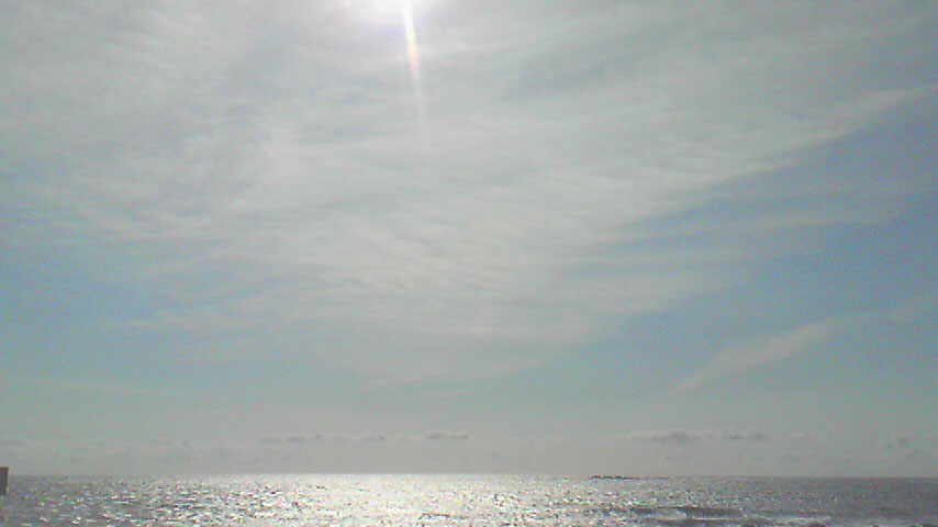 b0240382_20514322.jpg