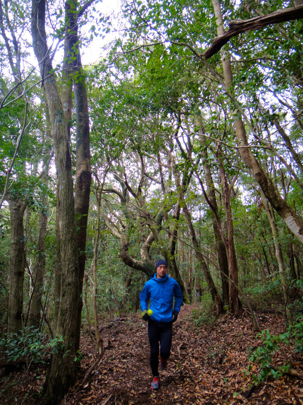 2012/02/14-17 South West 四国 Trip Day.3 白皇山ー足摺岬_b0220886_16392141.jpg