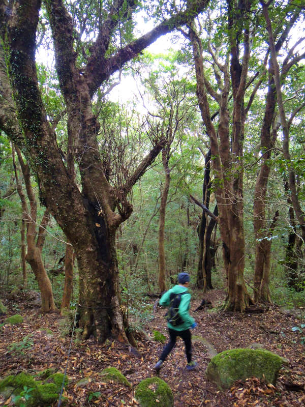 2012/02/14-17 South West 四国 Trip Day.3 白皇山ー足摺岬_b0220886_16504756.jpg