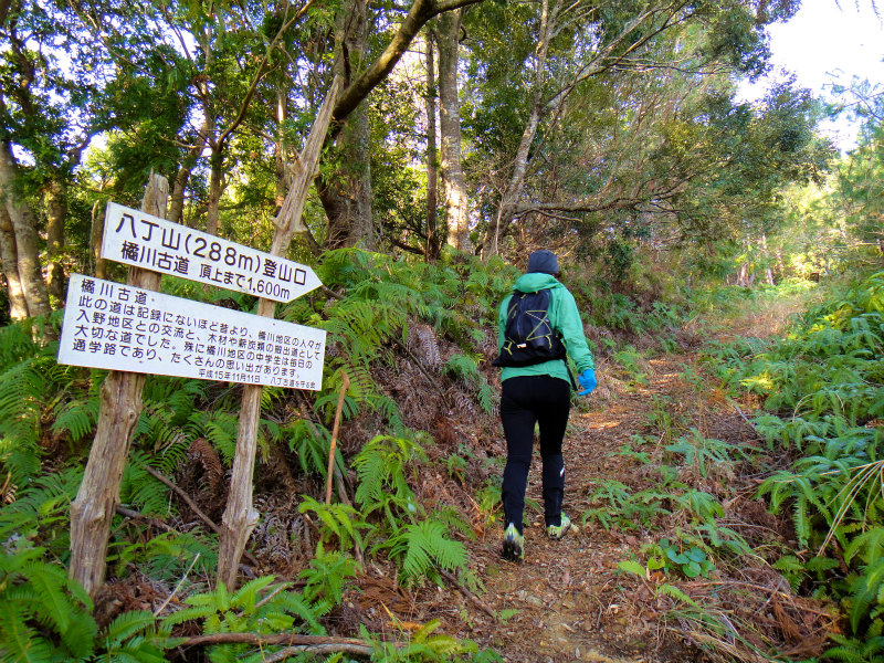 2012/02/14-17 South West 四国 Trip Day.4 八丁山、五在所ノ峯 _b0220886_1757175.jpg