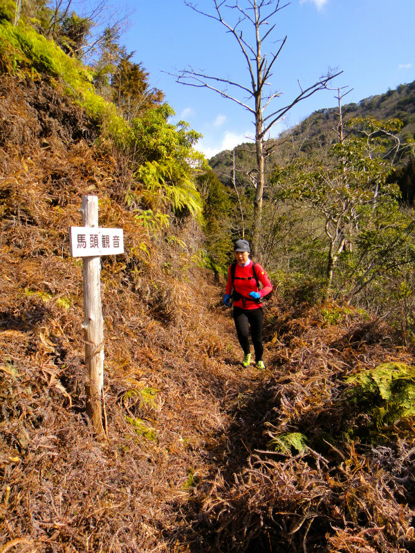 2012/02/14-17 South West 四国 Trip Day.4 八丁山、五在所ノ峯 _b0220886_18101367.jpg