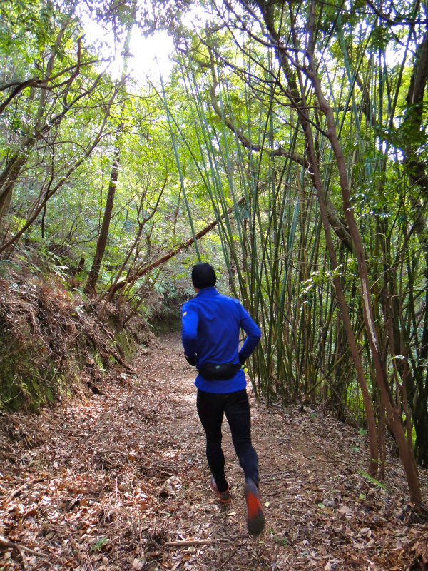 2012/02/14-17 South West 四国 Trip Day.4 八丁山、五在所ノ峯 _b0220886_18273358.jpg