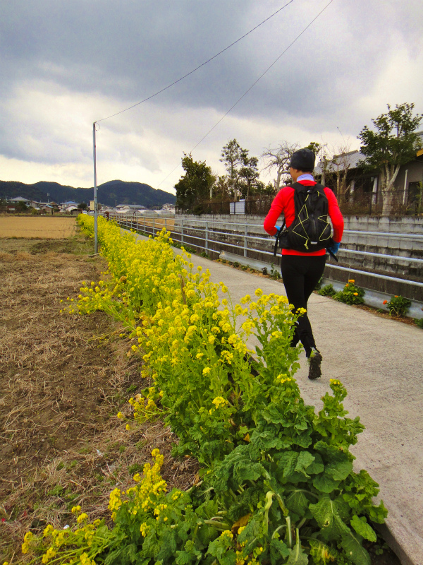 2012/02/14-17 South West 四国 Trip Day.4 八丁山、五在所ノ峯 _b0220886_18463136.jpg