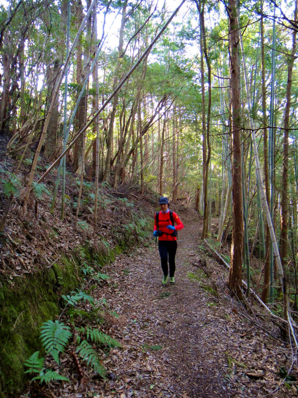 2012/02/14-17 South West 四国 Trip Day.4 八丁山、五在所ノ峯 _b0220886_1851795.jpg