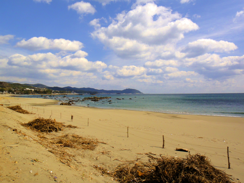 2012/02/14-17 South West 四国 Trip Day.4 八丁山、五在所ノ峯 _b0220886_18522418.jpg