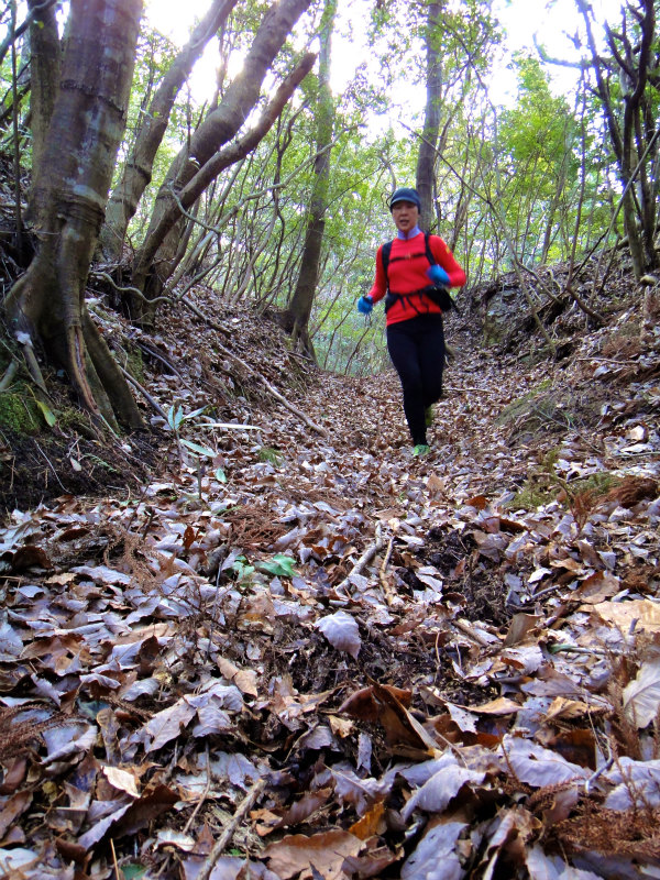 2012/02/14-17 South West 四国 Trip Day.4 八丁山、五在所ノ峯 _b0220886_189514.jpg