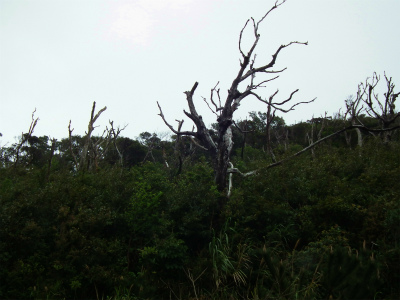 雨上がりの景色_e0028387_238054.jpg