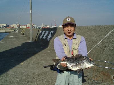 ★へチ釣りで大型カレイ★_e0147297_0134286.jpg