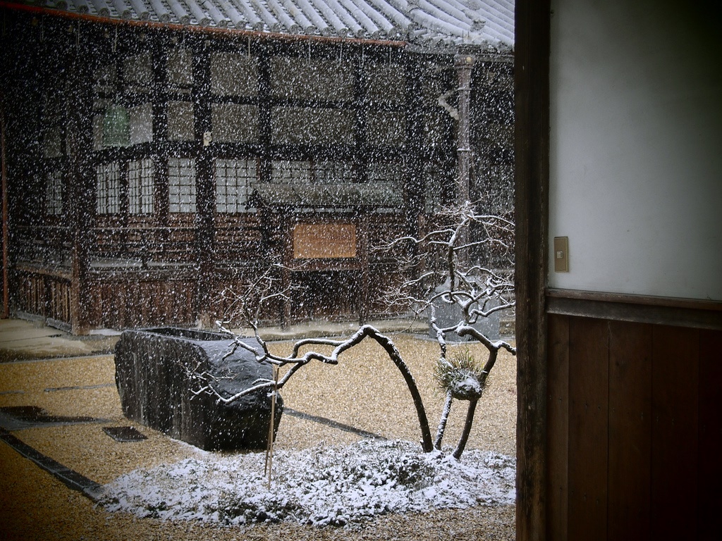 雪の舞う「まっちゃま撮影会」⑦_b0138101_444222.jpg