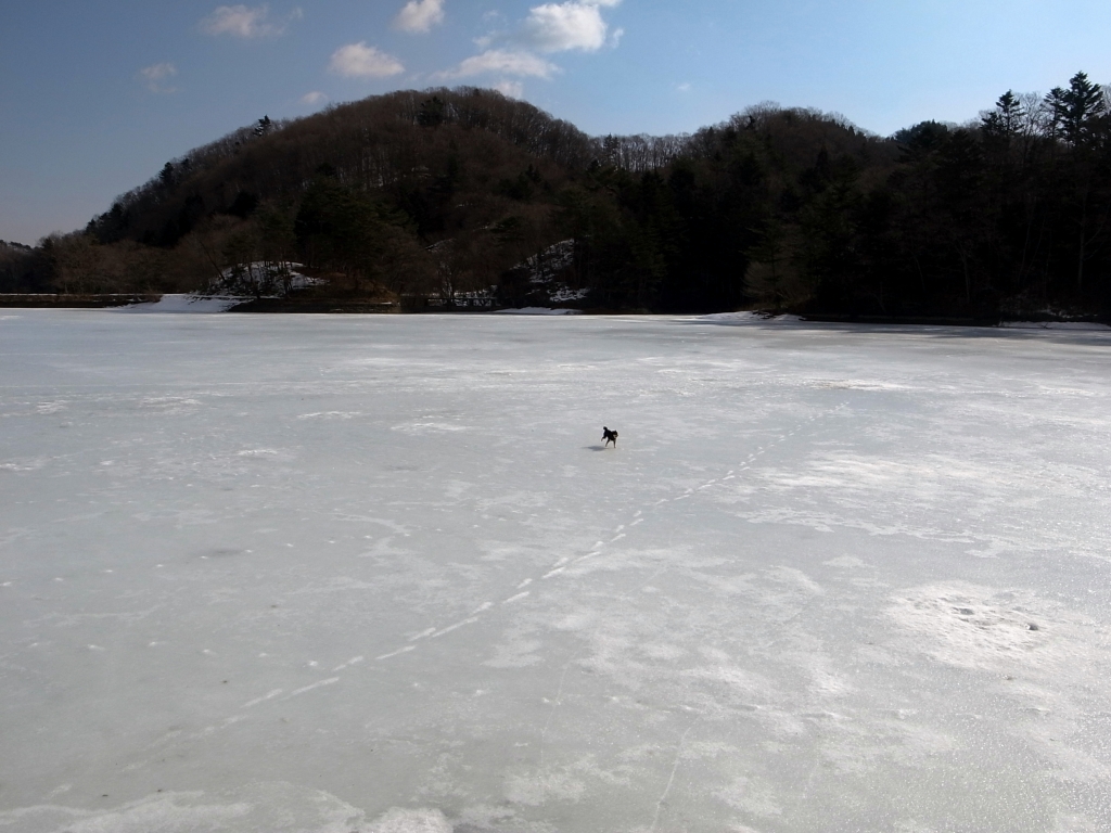 久々に秘密のナメ沢へ_b0050305_19483810.jpg