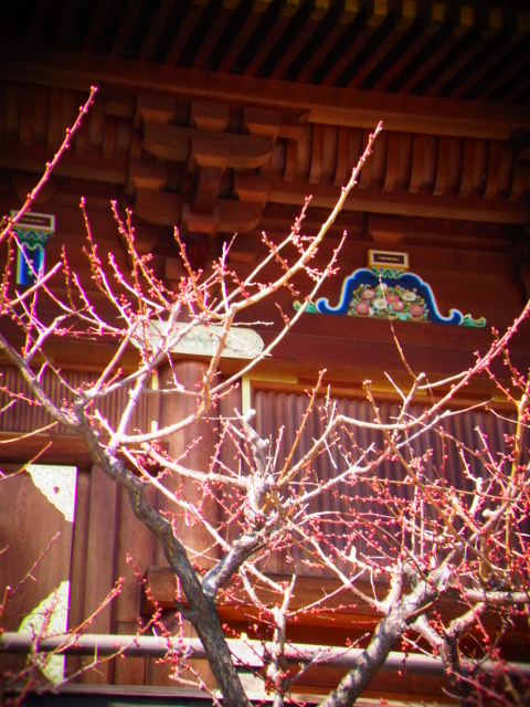 a0017909_2250334.jpg