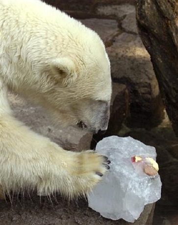 上野動物園のレイコ逝く_a0151913_18151825.jpg