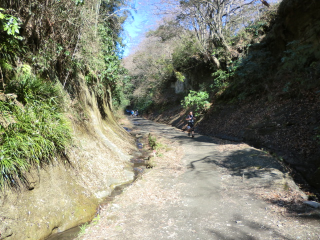 2012年2月18日　第2回三浦半島縦断トレランに参加_d0252115_10594588.jpg