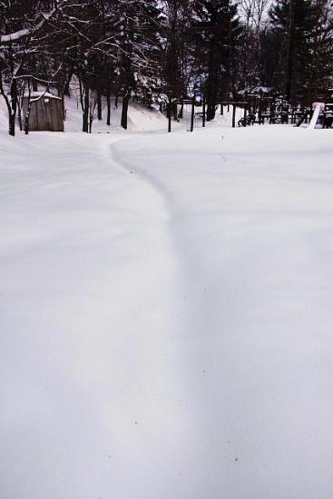 2012年2月24日（金）：久々に朝から除雪 [中標津町郷土館]_e0062415_17204222.jpg