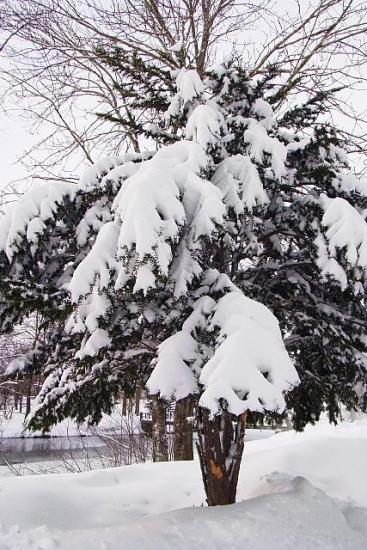 2012年2月24日（金）：久々に朝から除雪 [中標津町郷土館]_e0062415_17205474.jpg