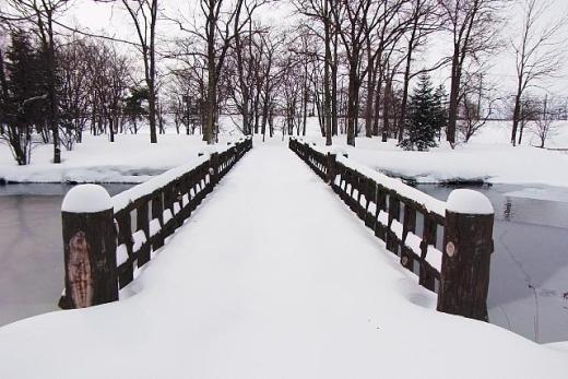 2012年2月24日（金）：久々に朝から除雪 [中標津町郷土館]_e0062415_1722243.jpg