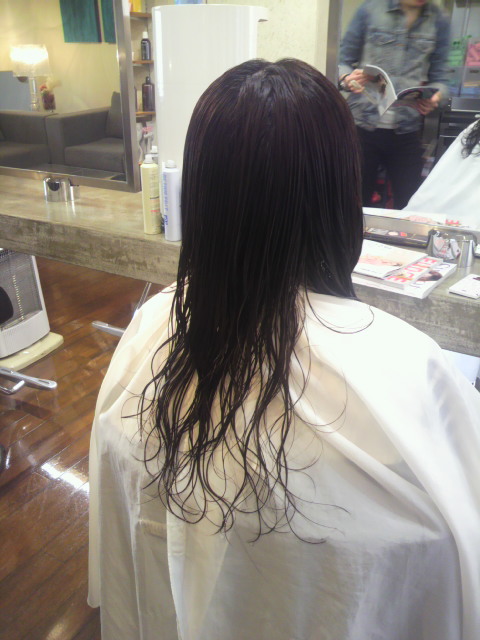 マチルダボブ Orbal Blog