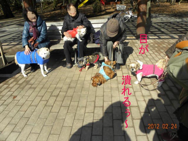 b0203018_17494063.jpg