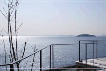 c0111021_13551547.gif