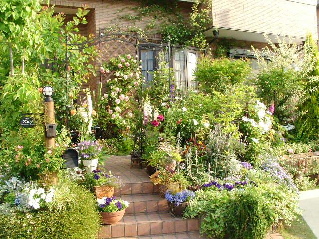 7年前の庭の写真と今日の庭仕事 Mr Mrs Kajiの小さなバラの庭
