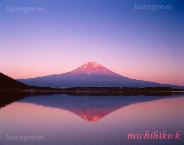 紅富士 夕景 田貫湖より 風景写真家 鐘ヶ江道彦のフォトブログ 紅富士 夕景 田貫湖より 風景写真家 鐘ヶ江道彦のフォトブログ