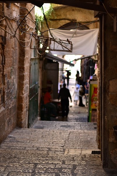 e0146031_17544548.jpg