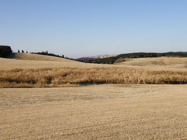 c0141933_23485514.jpg