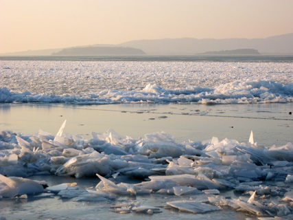 凍れるトラジメーノ湖２_f0234936_233110100.jpg