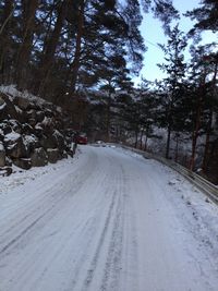 e0106251_17322.jpg