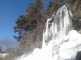 e0106251_17391.jpg