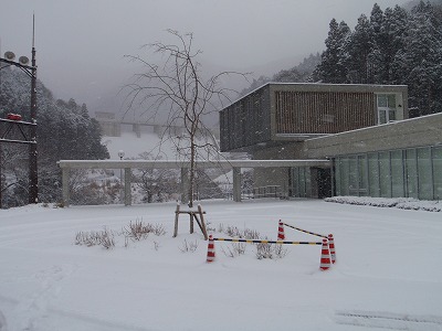 c0097754_1617031.jpg