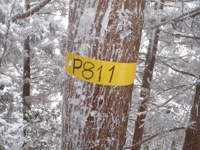 c0097754_1622080.jpg