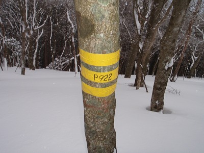 c0097754_1632425.jpg