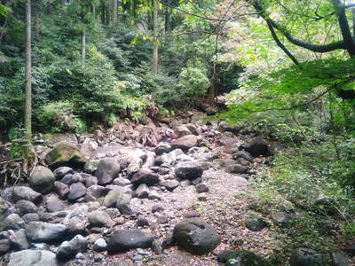 FLC日記 川は流れるもの・・・_a0254656_10193965.jpg