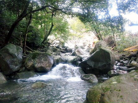 FLC日記 川は流れるもの・・・_a0254656_1022828.jpg