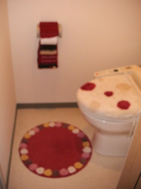 c0236056_6485532.jpg