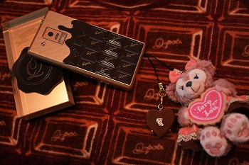 チョコレート、い～っぱいっ♪_d0174765_13844.jpg