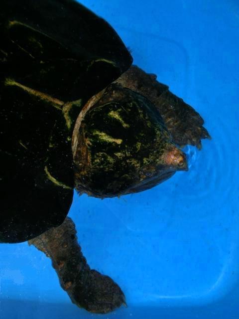 c0105569_1465095.jpg