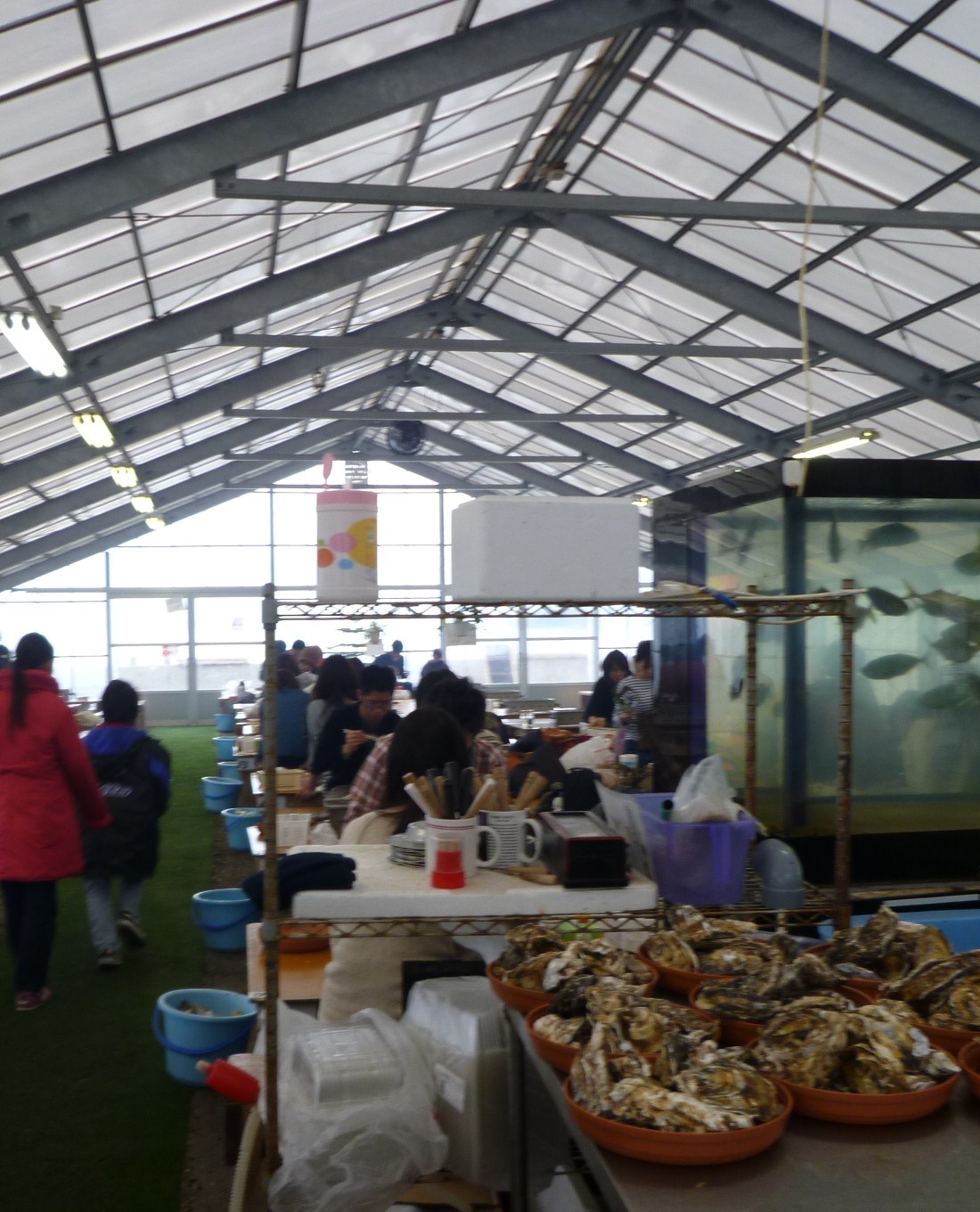 b0223370_88252.jpg