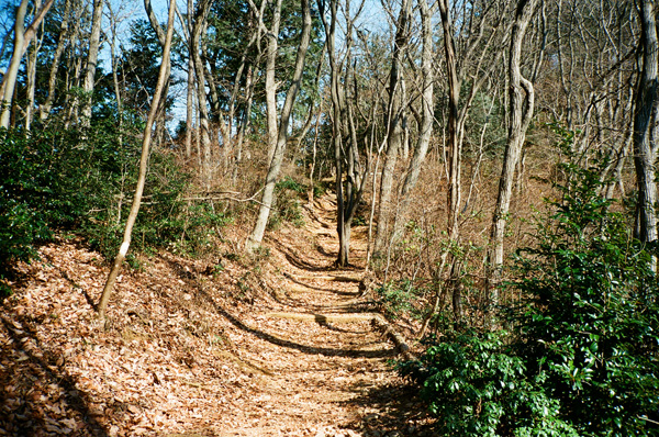 a0207672_22251972.jpg