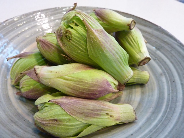 春の味覚がもう!?_c0080075_1263396.jpg