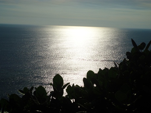 a0199979_949589.jpg