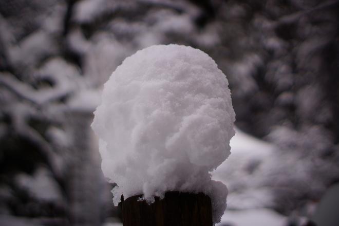 雪まんじゅう_d0078481_1748344.jpg