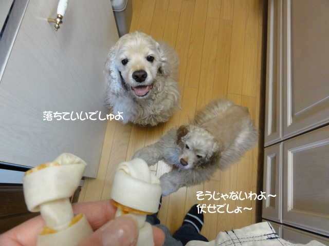 f0218182_21371666.jpg