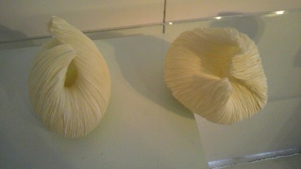 a0168186_6345140.jpg