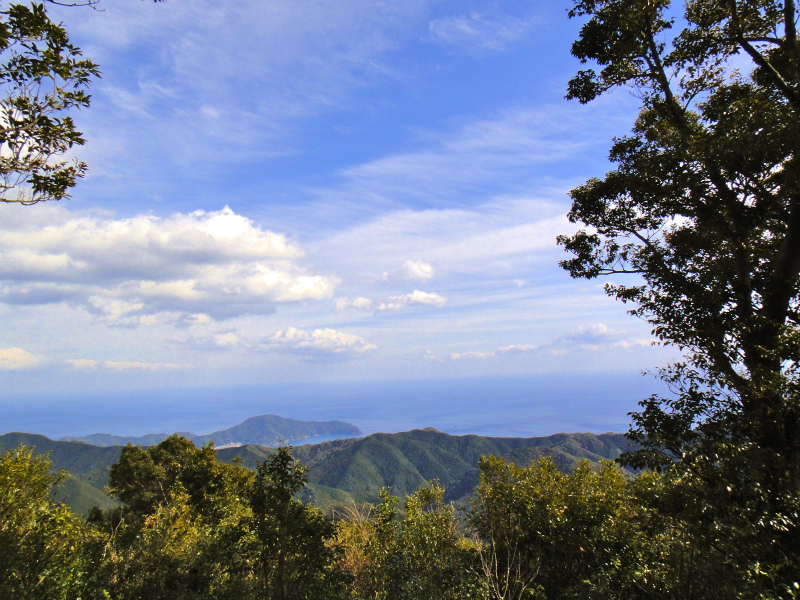 2012/02/14-17 South West 四国 Trip Day.4 八丁山、五在所ノ峯 _b0220886_1071072.jpg