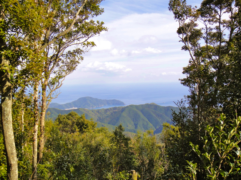 2012/02/14-17 South West 四国 Trip Day.4 八丁山、五在所ノ峯 _b0220886_1072280.jpg
