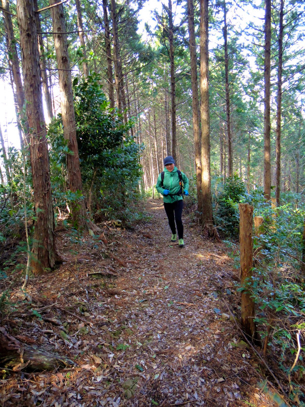 2012/02/14-17 South West 四国 Trip Day.4 八丁山、五在所ノ峯 _b0220886_9584718.jpg