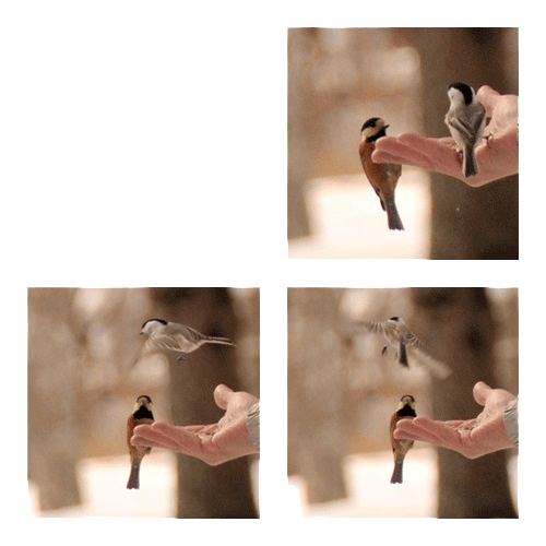 f0212586_9551295.gif